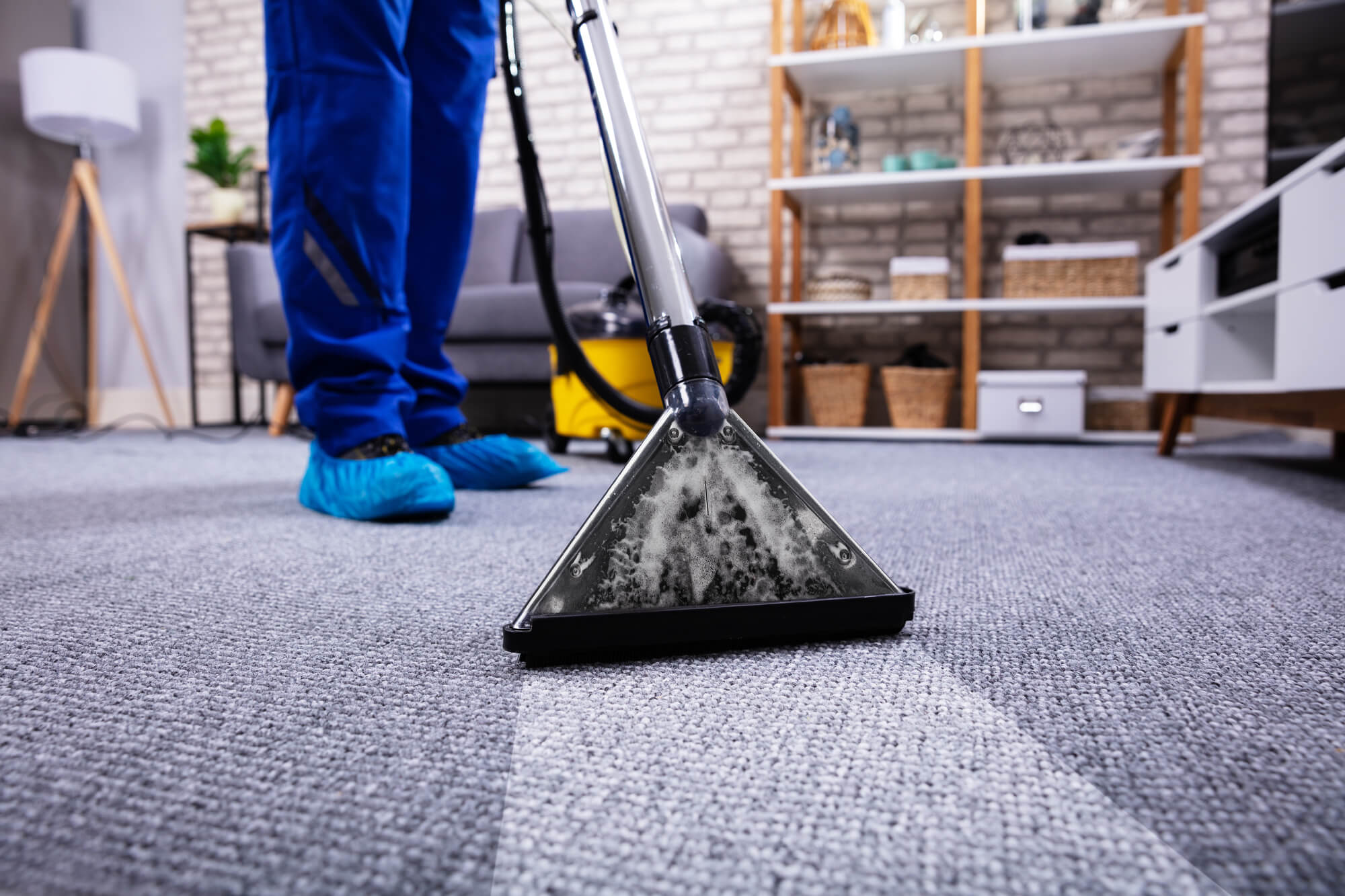 close up of a carpet being cleaned