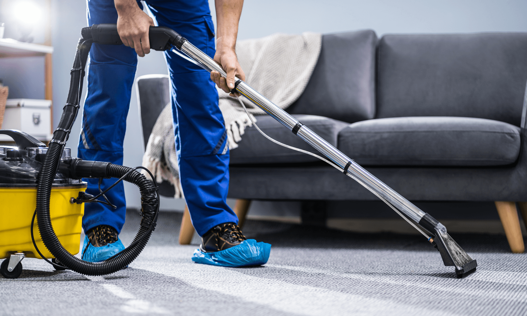 a carpet being cleaned